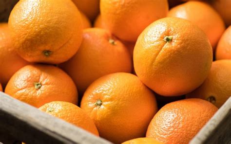 Les Oranges Espagnoles Sont De Moins En Moins Demandées En Europe