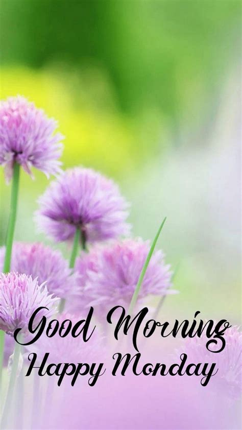 Purple Flowers With The Words Good Morning Happy Monday
