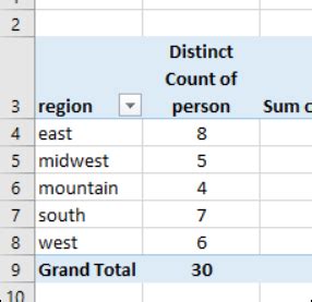 In Pivot Table How To Count Unique Decoration Examples