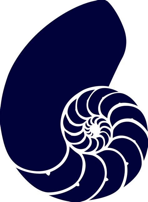 Shell Sea Blue Free Vector Graphic On Pixabay