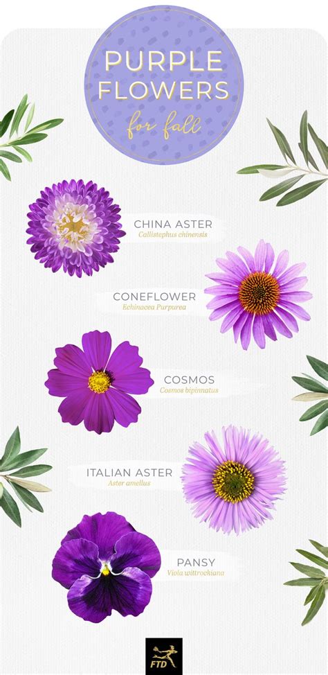 Here you can explore hq purple flower transparent illustrations, icons and clipart with filter setting like size, type, color etc. 50 Types of Purple Flowers - FTD.com in 2020 | Purple ...
