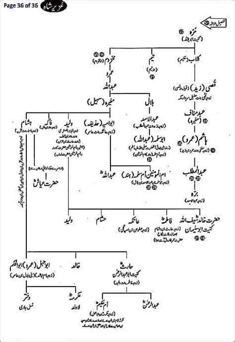 Pedigree Of Prophet Muhammad Page