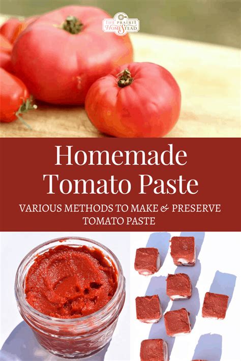 Homemade Tomato Paste Recipe The Prairie Homestead