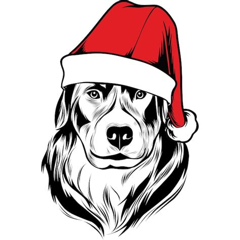 Premium Vector Bernese Mountain Dog Dog In Santa Hat For Christmas