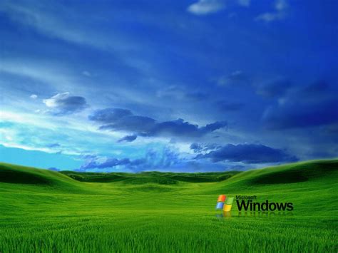Grass Windows Xp Wallpapers Totalinfo90