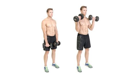 Bicep Curls How To Master Them The Right Way