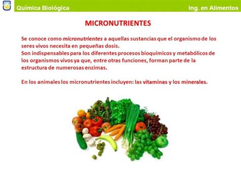 Beneficios De Los Alimentos Micro Nutrientes Necesarios Imágenes