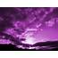 Pure Purple Photography  XciteFunnet