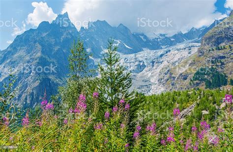 Mont Blanc Massive Scenery Stock Photo Download Image Now Europe