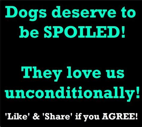 Spoiled Baby Dogs Dogs And Puppies Doggies Dachshunds I Love Dogs