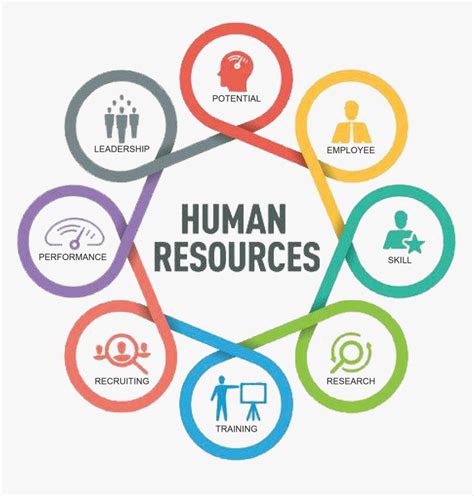 To recruit and retain a highly skilled and diverse workforce for the nih. Human Resources Department Logo, HD Png Download ...