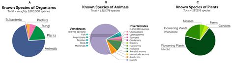 The Diversity Of Life Biology For Majors I
