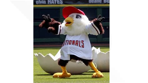 Mascot For Washington Nationals What Is It