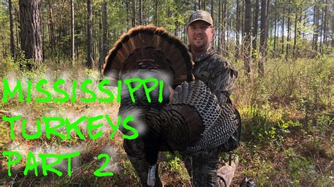 Mississippi Turkey Hunting Part 2🦃🦃🦃 Youtube