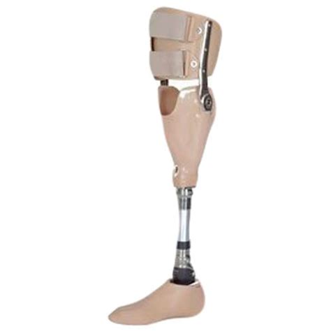 Below Knee Prosthetic Leg Artificial Limbs कृत्रिम अंग In Harmu