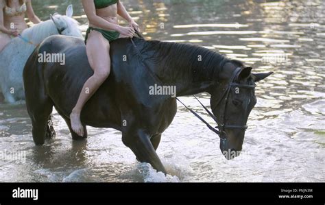 Bikini Bekleidet Mädchen In Fluss Ein Pferd Reiten Kommt