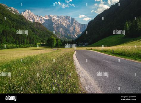 Beautiful Summer Alpine Scenery Flowery Meadows And Snowy Mountains
