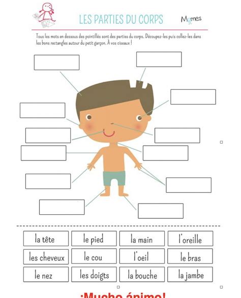 Cut And Paste Worksheets French Worksheets Kids Worksheets Printable