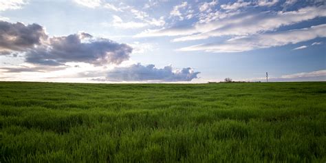 1000 Beautiful Grass Photos · Pexels · Free Stock Photos