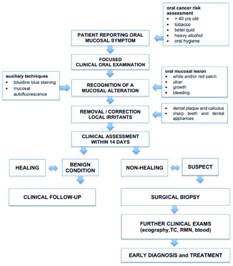 Clinical Flow Chart To Guide The Clinician In Anticipating The