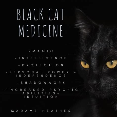 Black Cat Medicine 🖤🖤🖤 Blackcat Blackcatspirit Blackcatspiritanimal