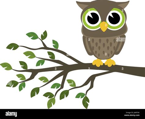 Little Cute Owl Sitting On A Branch Isolated On White Background