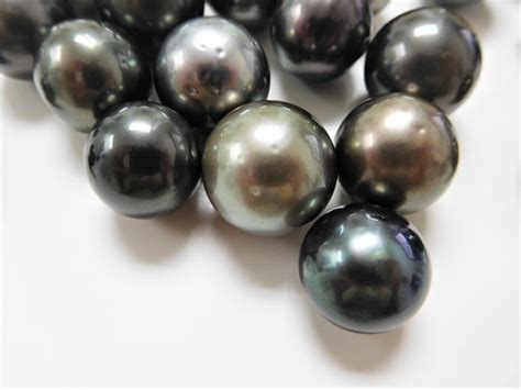 15 17mm Dark Roundnear Roundbutton Loose Tahitian Pearls