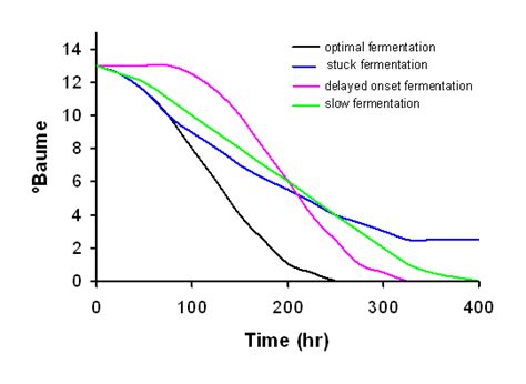 yeast fermentation diagram