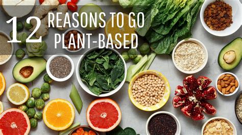 Why You Should Eat A Plant Based Diet For Health Youtube