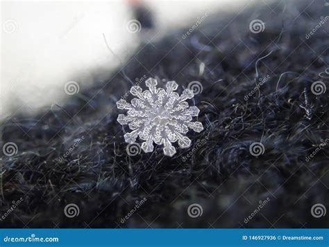 January Rare 12 Sided Snowflakes Stock Photo Image Of Dark