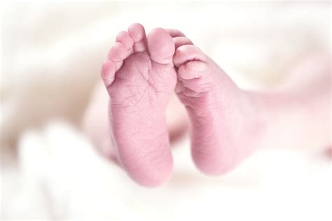 Free Images Hand Petal Feet Leg Finger Foot Small Child Nail