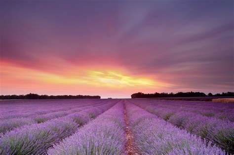 Lavender Clouds Wallpapers 4k Hd Lavender Clouds Backgrounds On