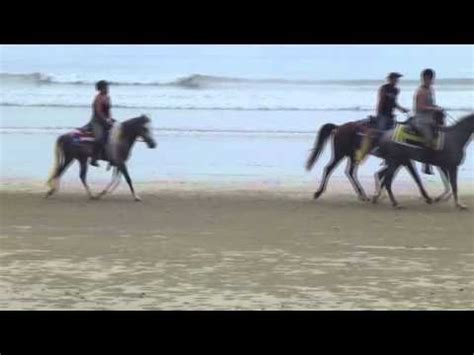 Khao lak horse club is 4 kilometres from the beach. Vikki & John go horse riding in Khao Lak - YouTube