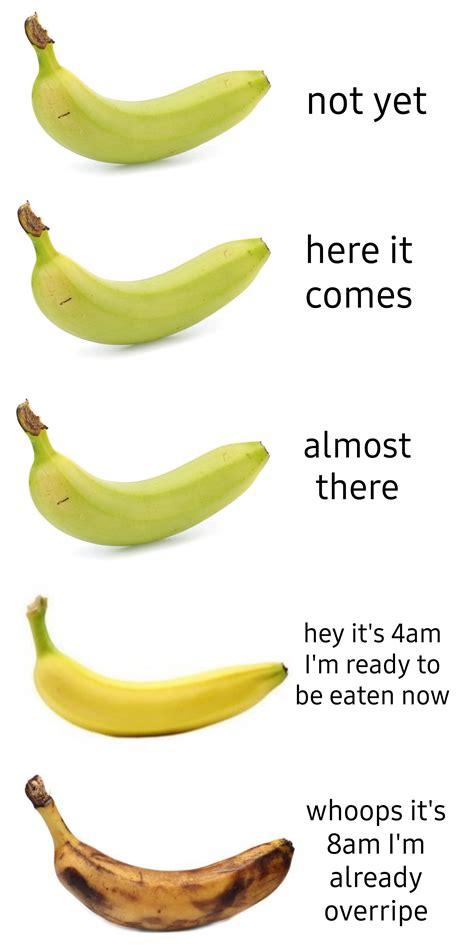 Thats Bananas Rmemes