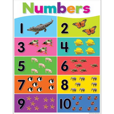 Colorful Numbers 1 10 Chart