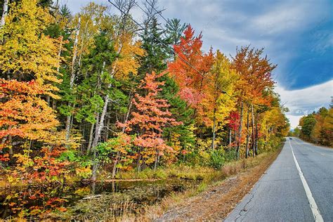 Fall Foliage Drive Through New England Countryside United States Photo