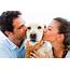 10 Things You Should Know About Dating A Dog Lover – Life With Dogs