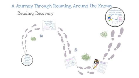 Roaming Around The Known Reading Recovery Reading Recommendations