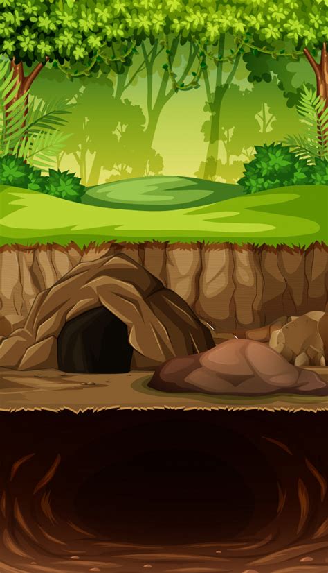 Download Underground Cave In Jungle For Free Jungle Illustration