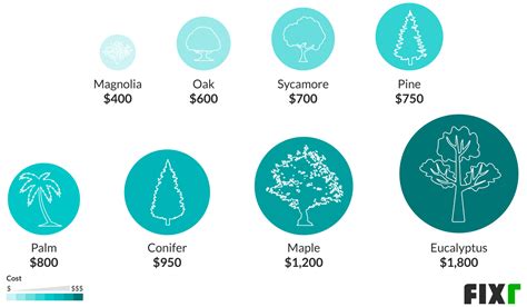 Trees that are not in healthy condition usually come with lower fees to remove. 2020 Tree Removal Cost | Cost to Cut Down a Tree