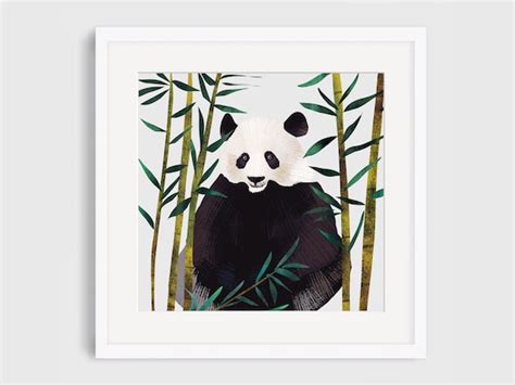 Giant Panda Nature Wildlife Illustration Giclee Print Etsy
