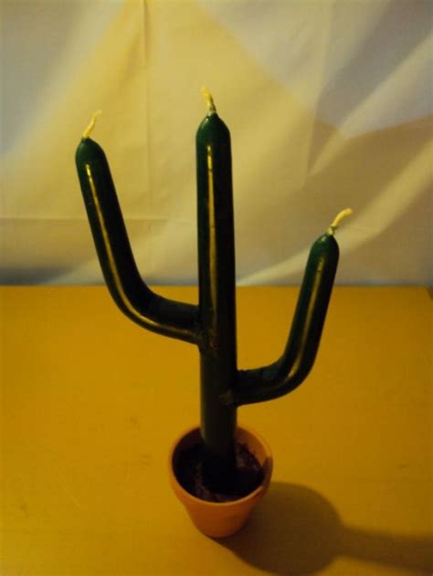 Saguaro Cactus Candles Hubpages
