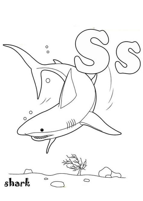 Our baby shark coloring pages are probably the most requested download that we get from readers here at kids activities blog. Baby Shark Coloring Pages at GetDrawings | Free download