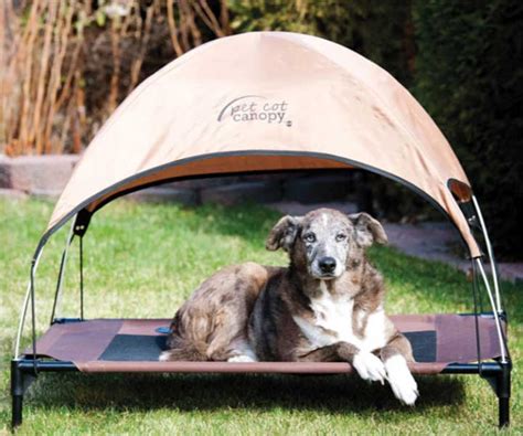 Dog canopy beds can be divided into two categories: 11 Best Outdoor Dog Beds - Outdoor Dog World