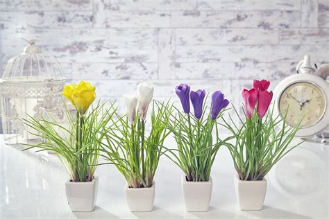 За окном красок достаточно, а добавить их в дом поможем мы! Artificial Crocus Flowers Plants in Pot Home Decor Garden ...