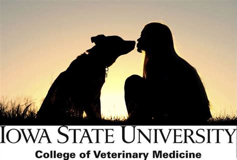 Isu College Of Veterinary Medicine Shelter Medicine Club