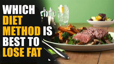 Paleo Low Carbs Intermittent Fasting Which Diet Is Best To Lose Fat