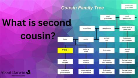 What Is A Second Cousin Discover Genetic Connections