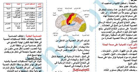 منظومـة التنسيـق الالكتروني (الثانوية العامة وما يعادلها / الدبلومات). ملخص-التنسيق-الوظيفي-في-العضوية-للأستاذة-dina-bbio.pdf ...