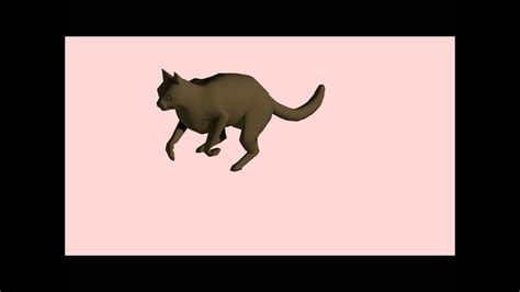 Cat Run Animation Youtube